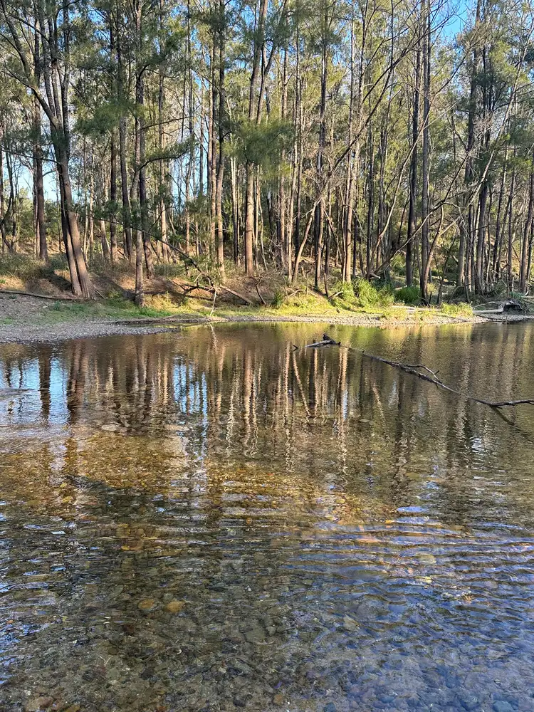 Fourth view of Homely land listing, 2600 Araluen Road, Deua River Valley NSW 2537