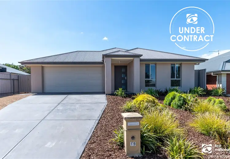 Main view of Homely house listing, 19 Willowbark Crescent, Murray Bridge SA 5253