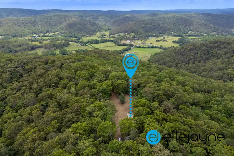 105 Priests Ridge Road, Cedar Brush Creek NSW 2259