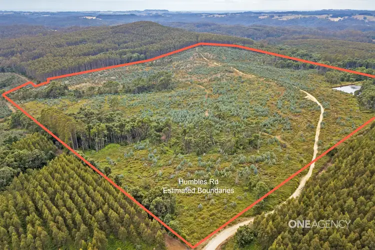 LOT 1 Humbles Road, Preolenna TAS 7325