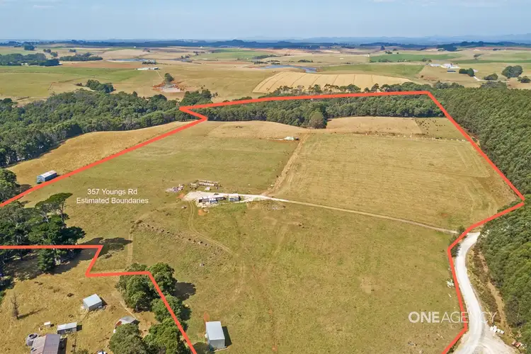 Second view of Homely rural property listing, 357 Youngs Road, Lileah TAS 7330