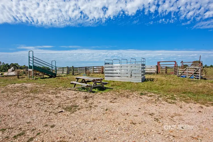 Third view of Homely rural property listing, 357 Youngs Road, Lileah TAS 7330
