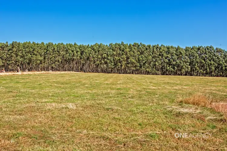 Fourth view of Homely rural property listing, 357 Youngs Road, Lileah TAS 7330
