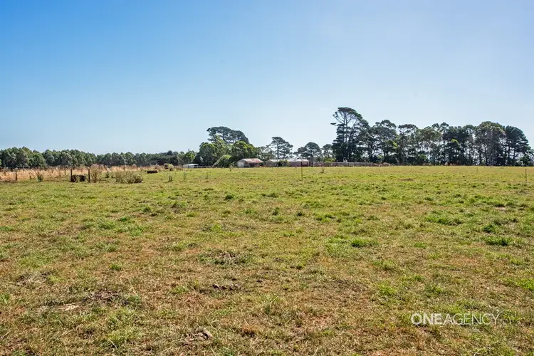 Fifth view of Homely rural property listing, 357 Youngs Road, Lileah TAS 7330