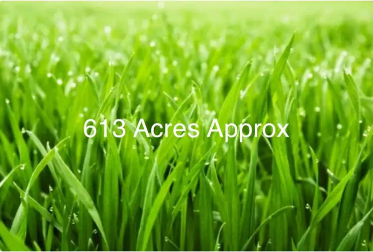 Main view of Homely rural property listing, Wimmera Highway, Woodstock on Loddon VIC 3551