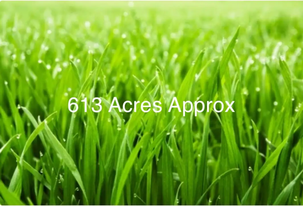 Main view of Homely rural property listing, Wimmera Highway, Woodstock on Loddon VIC 3551