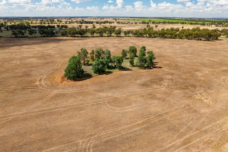Main view of Homely rural property listing, 3426 Goldfields Way, Barmedman NSW 2668
