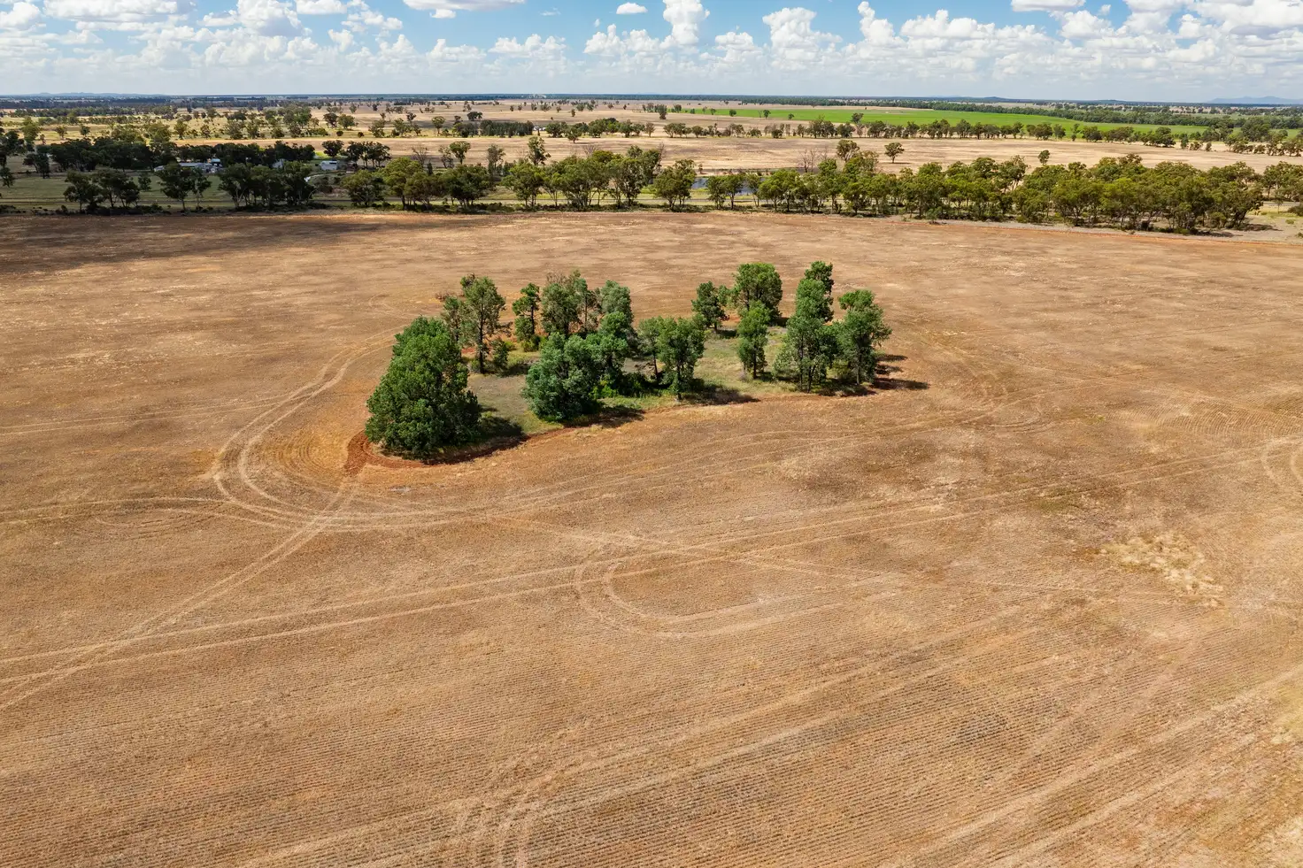 Main view of Homely rural property listing, 3426 Goldfields Way, Barmedman NSW 2668