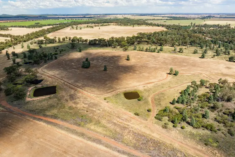Second view of Homely rural property listing, 3426 Goldfields Way, Barmedman NSW 2668