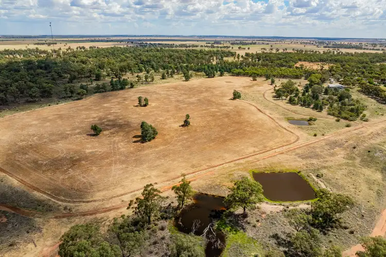 Third view of Homely rural property listing, 3426 Goldfields Way, Barmedman NSW 2668