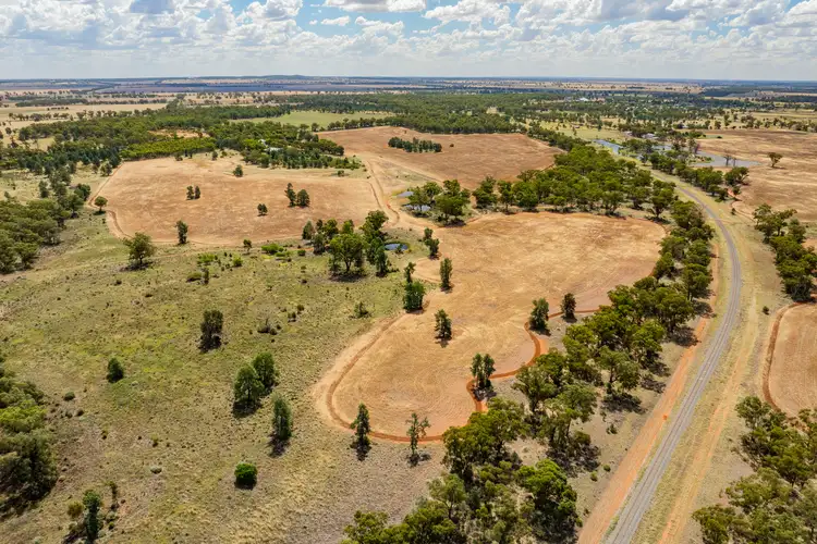 Fourth view of Homely rural property listing, 3426 Goldfields Way, Barmedman NSW 2668