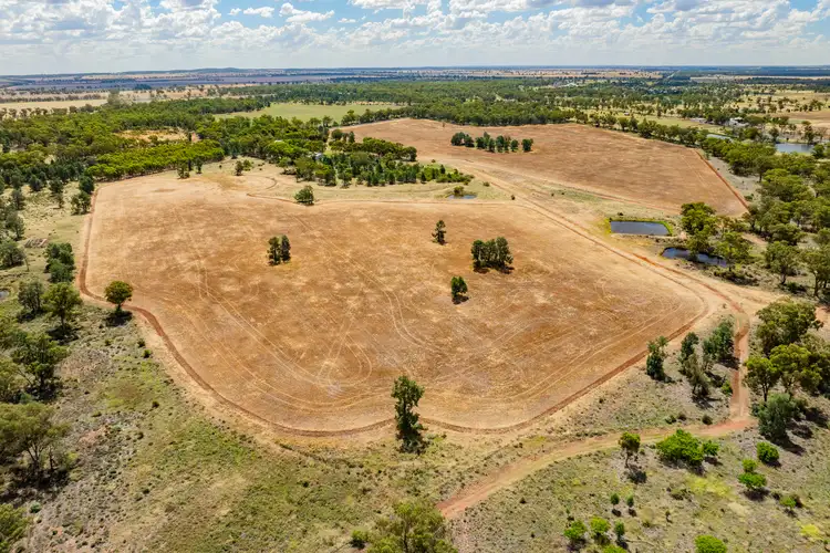 Fifth view of Homely rural property listing, 3426 Goldfields Way, Barmedman NSW 2668