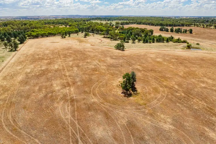 Sixth view of Homely rural property listing, 3426 Goldfields Way, Barmedman NSW 2668
