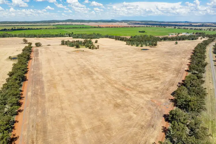 Seventh view of Homely rural property listing, 3426 Goldfields Way, Barmedman NSW 2668
