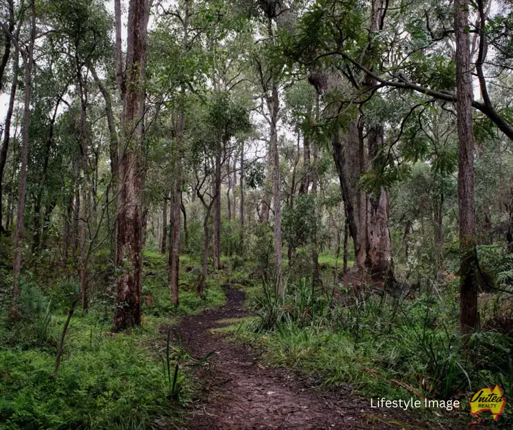 Lot 46 Jerrong Road, Wiarborough NSW 2580