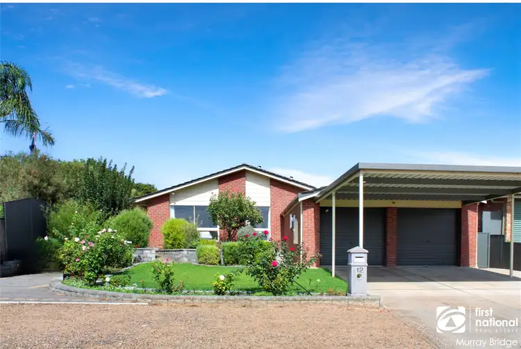12 Parish Crescent, Murray Bridge SA 5253