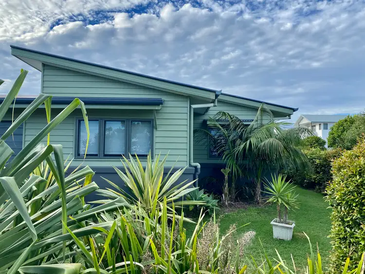 55 Laceflower Parade