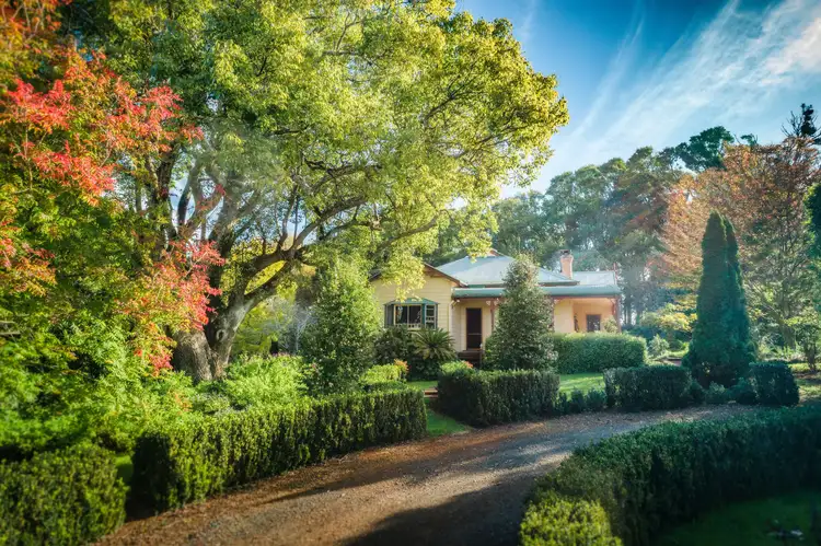 589 Old Coast Road, North Dorrigo NSW 2453
