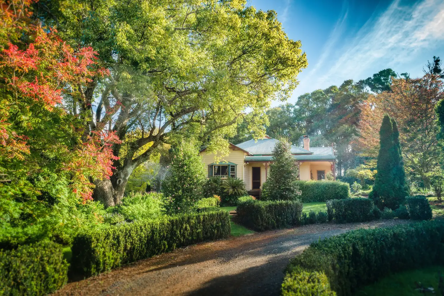 Main view of Homely rural property listing, 589 Old Coast Road, North Dorrigo NSW 2453