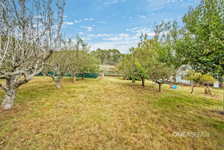 Sixth view of Homely rural property listing, 297 Youngs Road, Irishtown TAS 7330