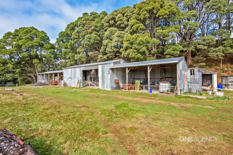 Seventh view of Homely rural property listing, 297 Youngs Road, Irishtown TAS 7330