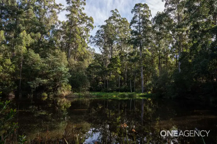 Lobster Creek Road, West Ulverstone TAS 7315