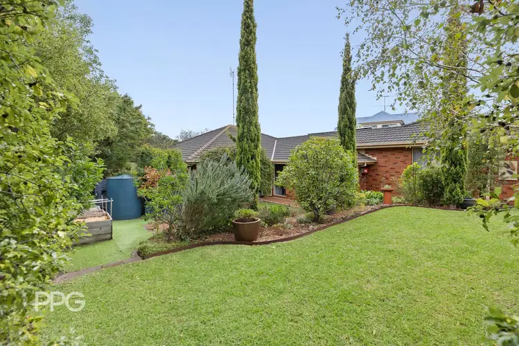 37 Coronae Drive, Clifton Springs VIC 3222