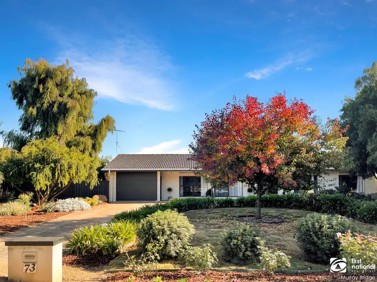 Main view of Homely house listing, 73 Maurice Road, Murray Bridge SA 5253