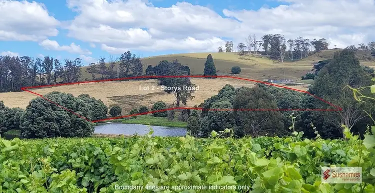 Third view of Homely land listing, Lot 2 Storys Road, Lebrina TAS 7254