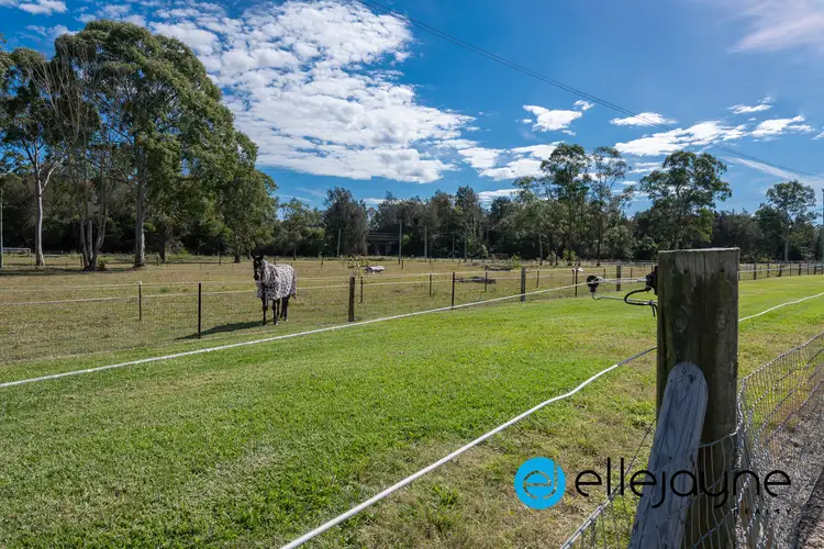 Third view of Homely house listing, 231 Freemans Drive, Morisset NSW 2264