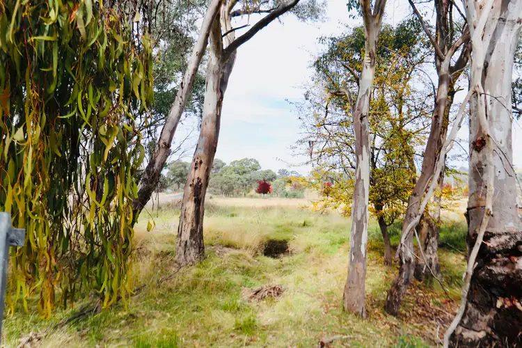 Fourth view of Homely rural property listing, 2081 Sofala Road, Peel NSW 2795
