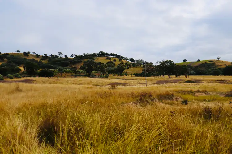Sixth view of Homely rural property listing, 2081 Sofala Road, Peel NSW 2795