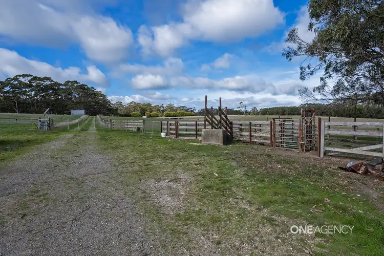 Third view of Homely rural property listing, 109 Williams Road, Scopus TAS 7330
