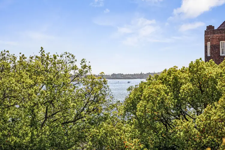 365a Edgecliff Road