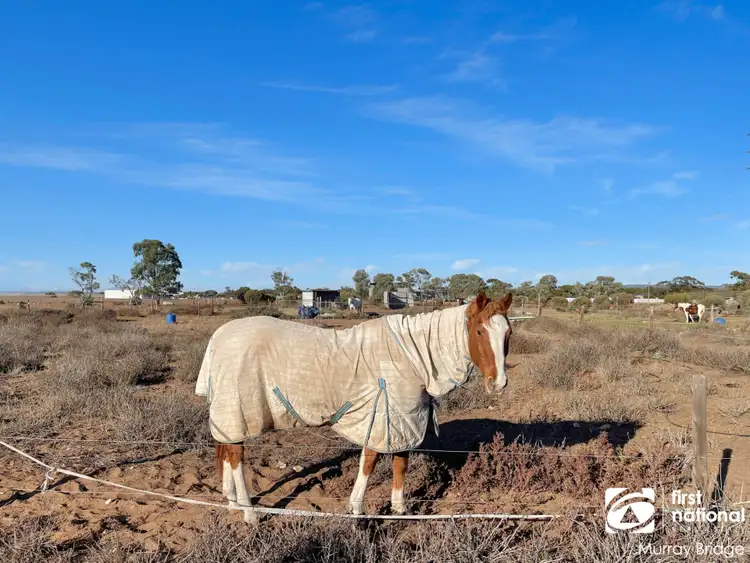 Second view of Homely land listing, 2173 Mannum Road, Murray Bridge SA 5253