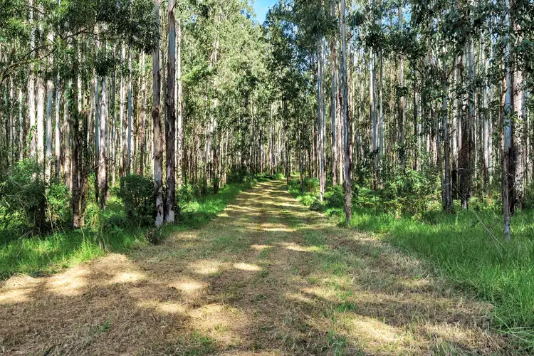 Moonpar Road, Moonpar NSW 2453