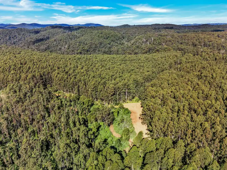 Second view of Homely rural property listing, Moonpar Road, Moonpar NSW 2453