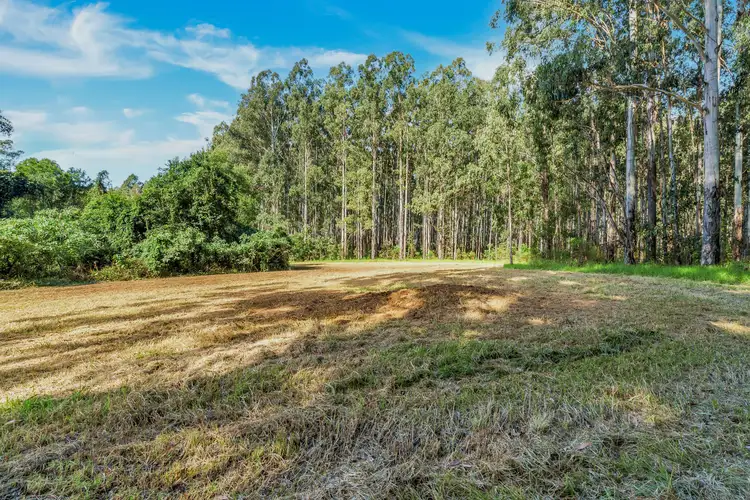Sixth view of Homely rural property listing, Moonpar Road, Moonpar NSW 2453