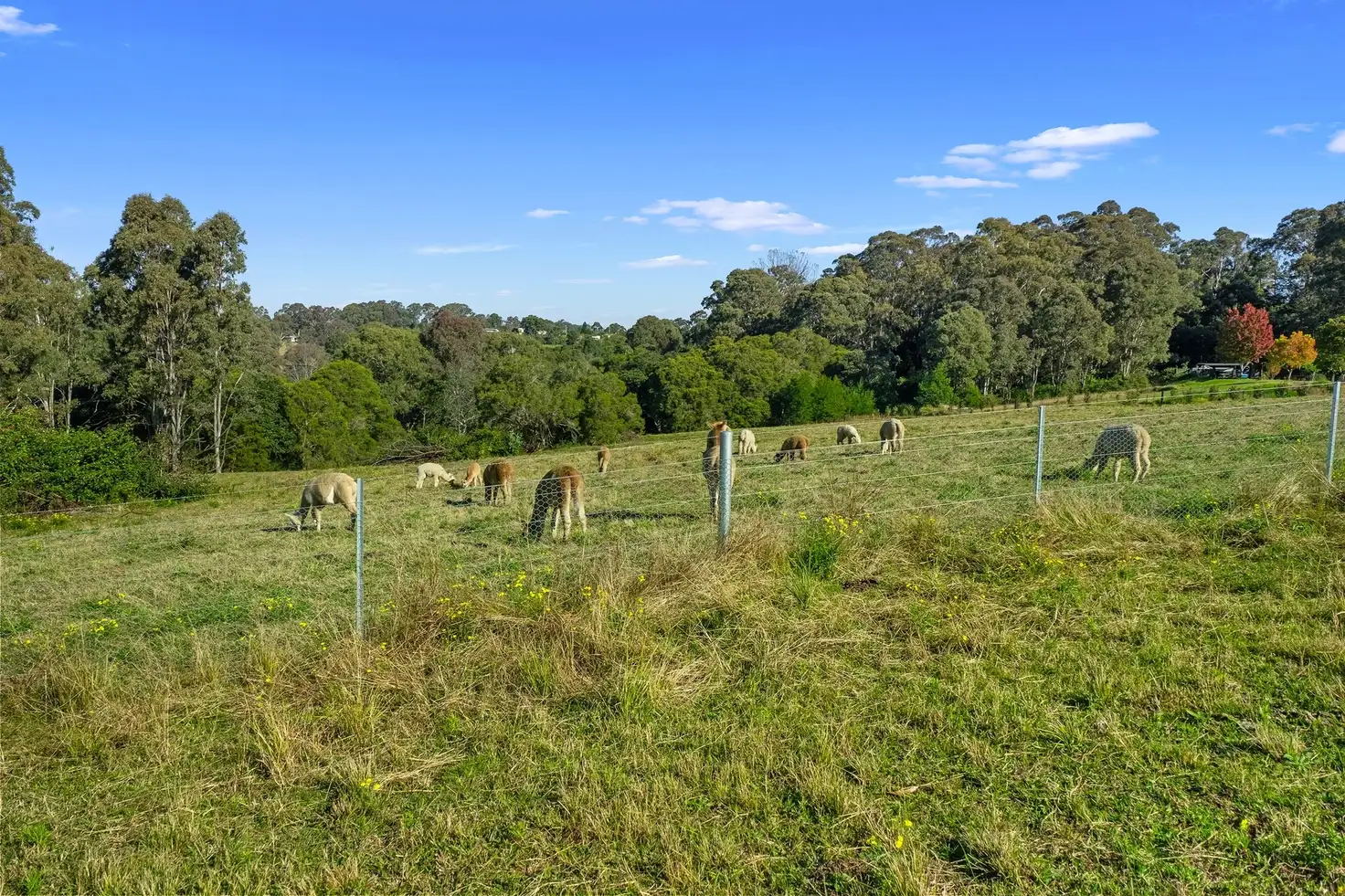 Main view of Homely land listing, 396 Comleroy Road, Kurrajong NSW 2758
