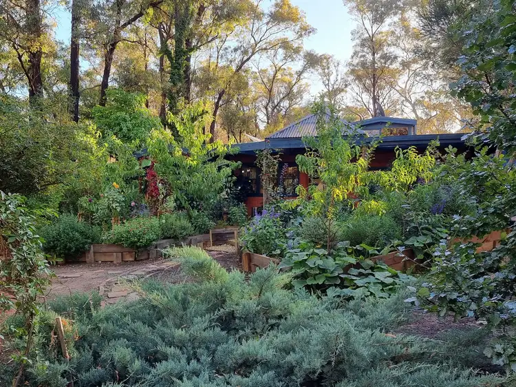 Main view of Homely house listing, 451 Tresize Track, Wellsford VIC 3551