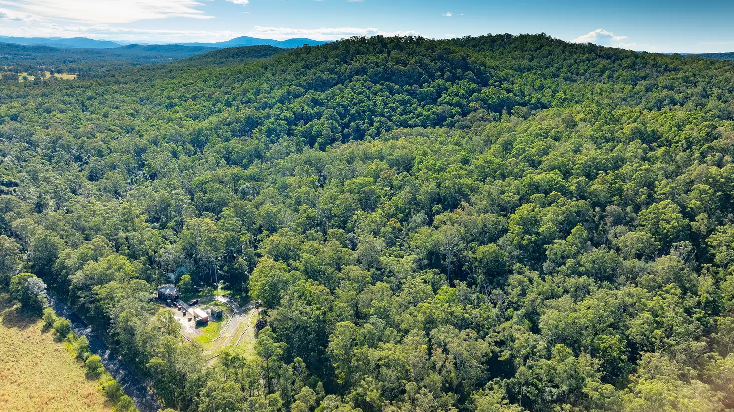Main view of Homely rural property listing, 144 Willina Road, Coolongolook NSW 2423