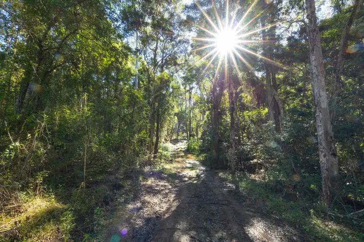 Second view of Homely rural property listing, 144 Willina Road, Coolongolook NSW 2423