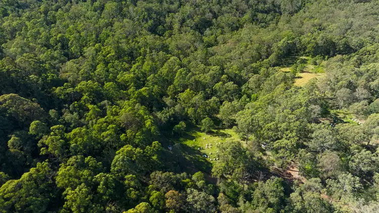 Fifth view of Homely rural property listing, 144 Willina Road, Coolongolook NSW 2423