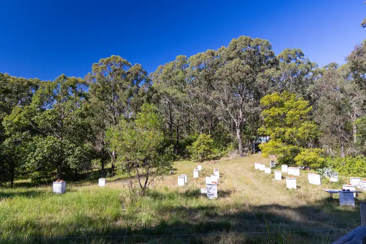 Sixth view of Homely rural property listing, 144 Willina Road, Coolongolook NSW 2423
