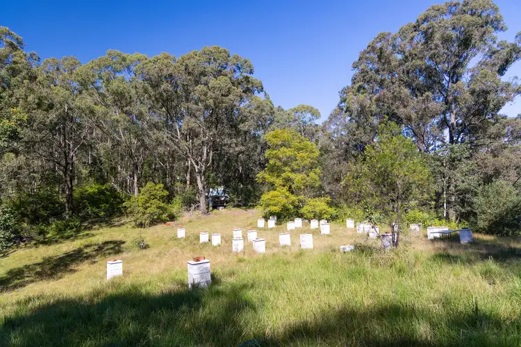 Seventh view of Homely rural property listing, 144 Willina Road, Coolongolook NSW 2423
