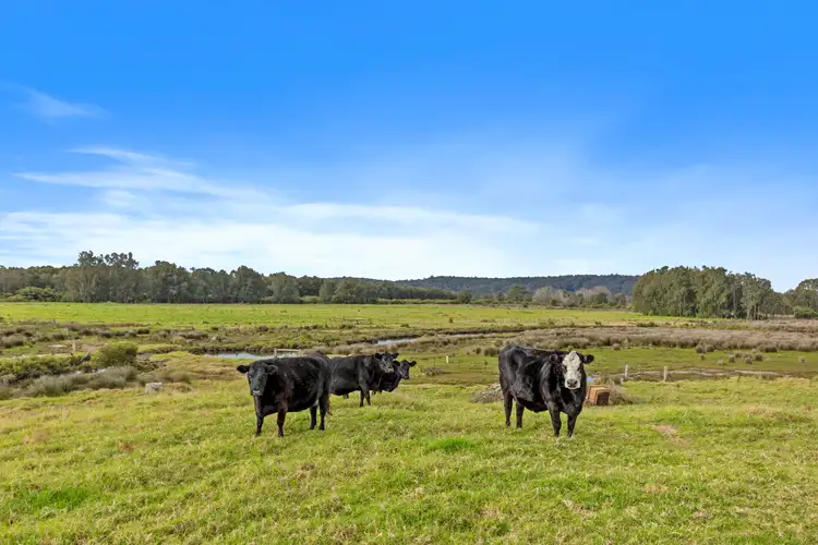 Third view of Homely house listing, 56 South Head Road, Moruya NSW 2537
