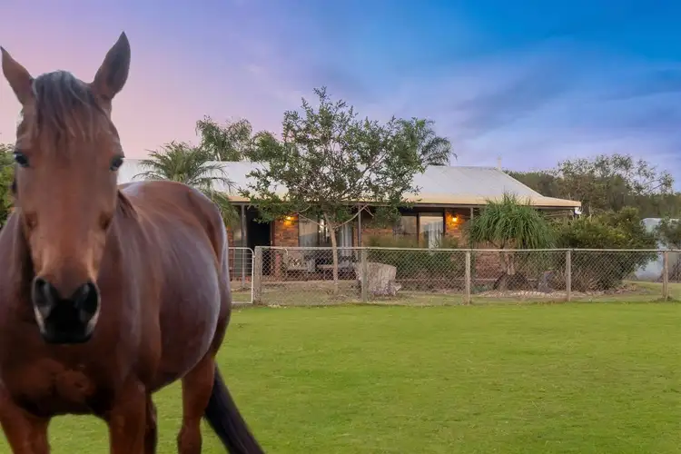 Sixth view of Homely house listing, 13 Hart Street, Bundamba QLD 4304