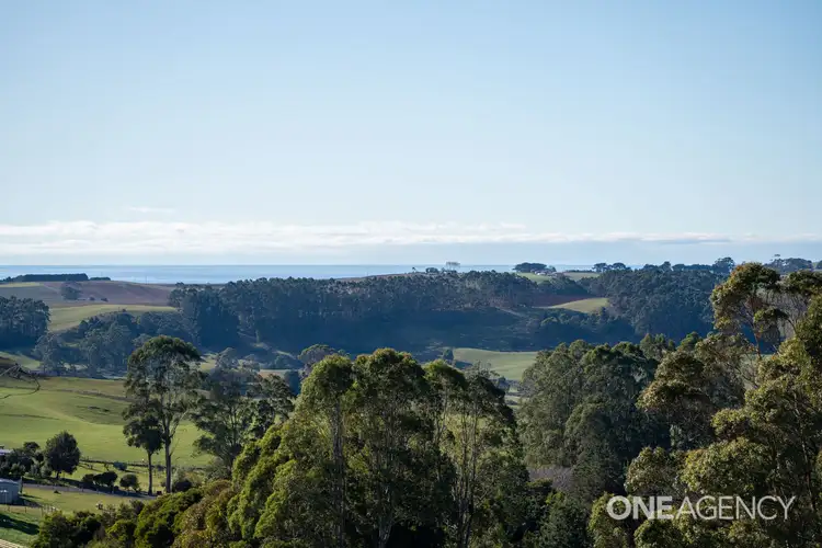 Third view of Homely land listing, Lot 2 & 3, 455 Preolenna Road, Flowerdale TAS 7325
