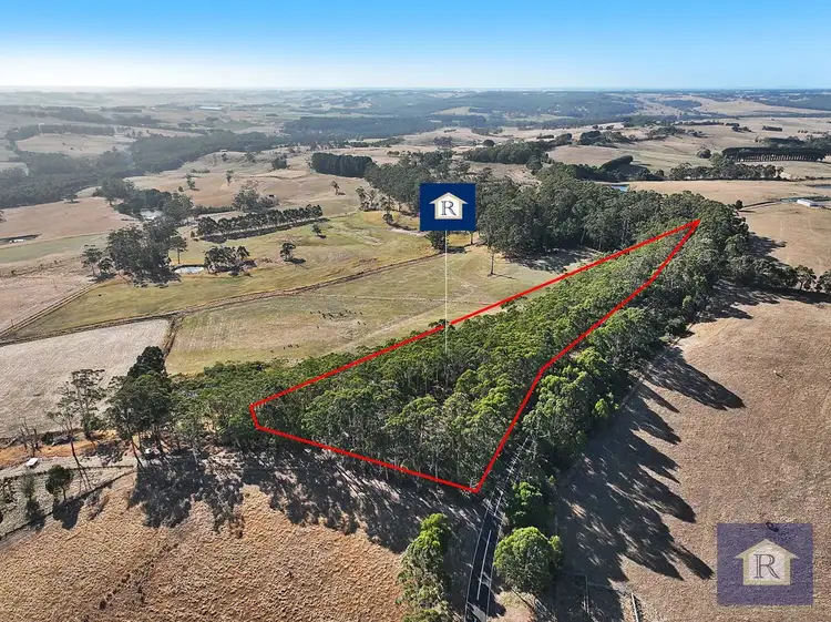 3384 Lavers Hill-Cobden Road, Kennedys Creek VIC 3239