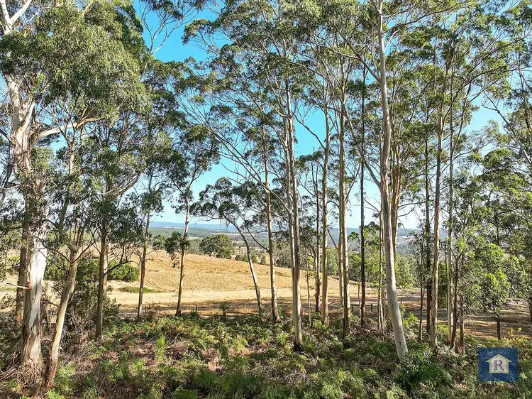 Fourth view of Homely rural property listing, 3384 Lavers Hill-Cobden Road, Kennedys Creek VIC 3239
